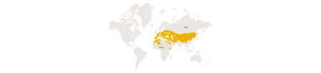 Distribution