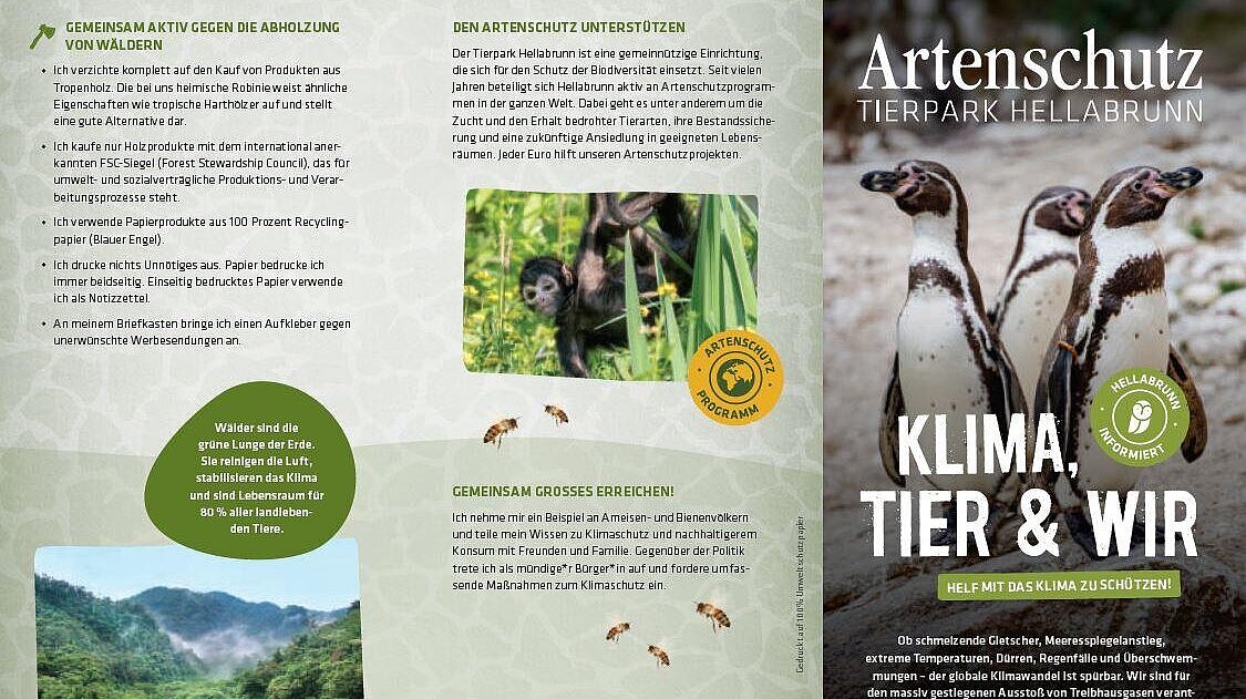 Flyer vom Aktionswochenende "Klima, Tier und wir" im Tierpark Hellabrunn