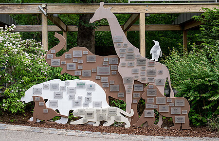 Die Patenschilder im Tierpark.