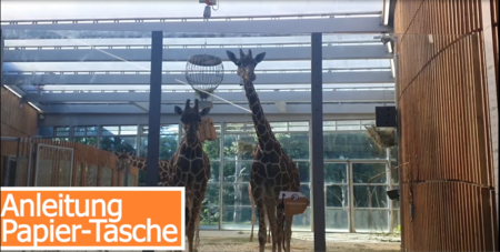 Video Upcycling Tierparkkalender: Tasche