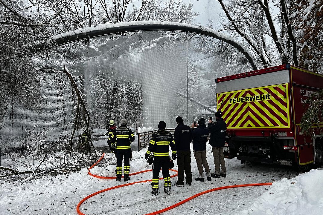 Die Feuerwehr befreit die Voliere der Flamingos mit dem Löschschlauch von Schnee.