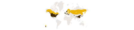 Distribution