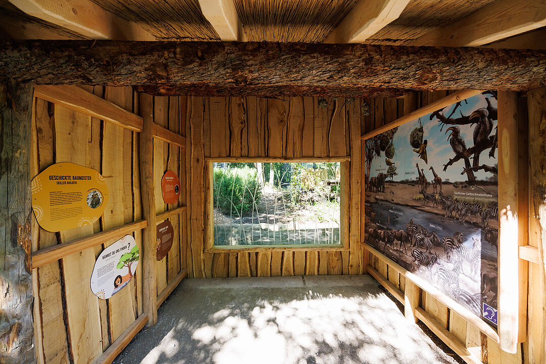 Die Holzhütte bei der Löwenanlage enthält Schilder mit Informationen über die Löwen.