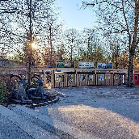 Der Isar-Eingang vom Tierpark Hellabrunn im Herbstlick, im Vordergrund sieht man die Steinbock-Skulpturen