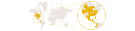 distribution map raccoon