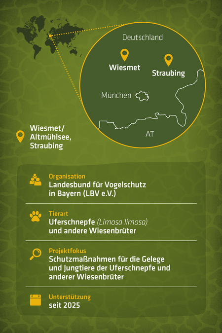 Steckbrief zum Artenschutzprojekt Wiesenbrüter