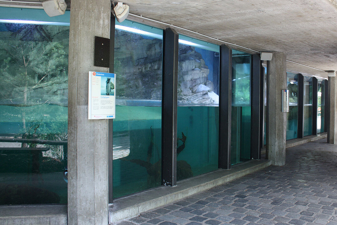 Das Pinguinhaus in der Polarwelt.