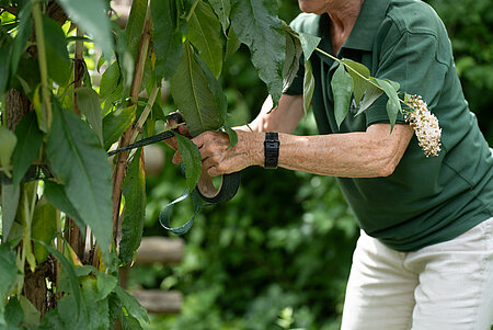 Artenschutz Hellabrunn Bauerngarten