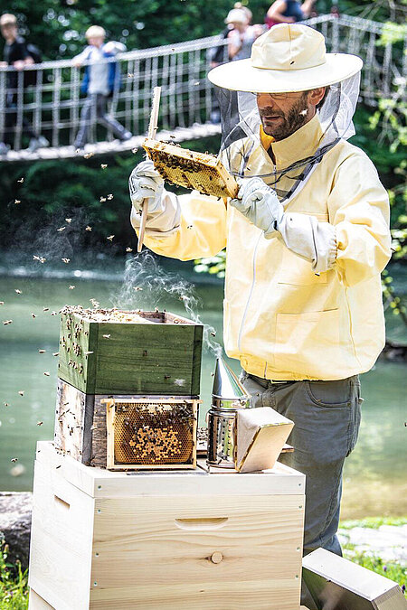 [Translate to English:] Der Imker in Hellabrunn kümmert sich um den Bienenstock in gelber Schutzkleidung.