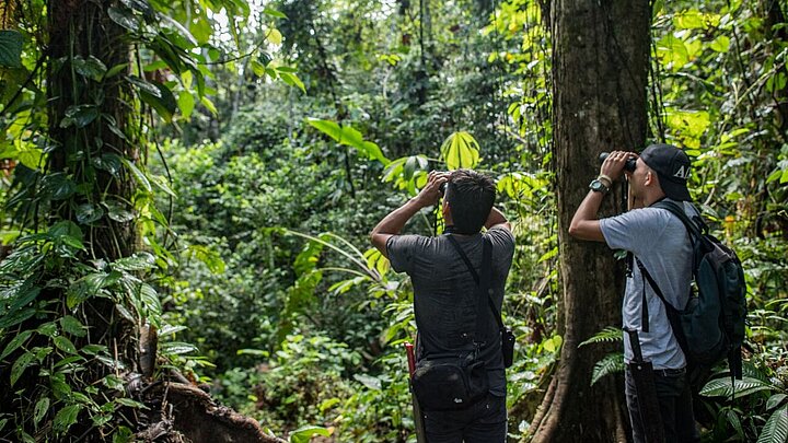 [Translate to English:] Ranger der Fundación Jocotoco