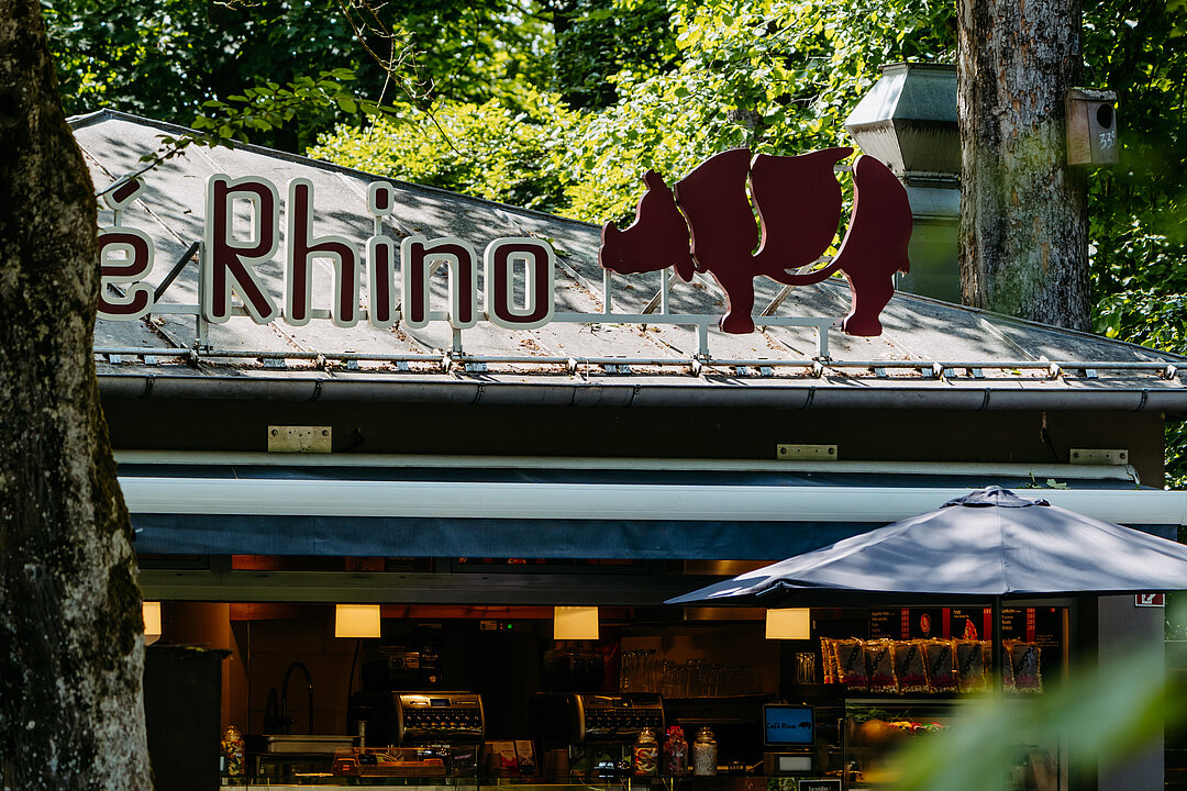 Cafe Rhino