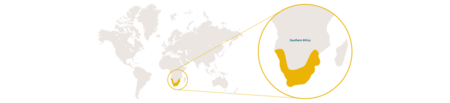 Distribution Rock Hyrax