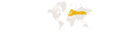 tph-verbreitungskarten-muehlendorf-kreuzotter-de-2022.png Verbreitungskarte Kreuzotter