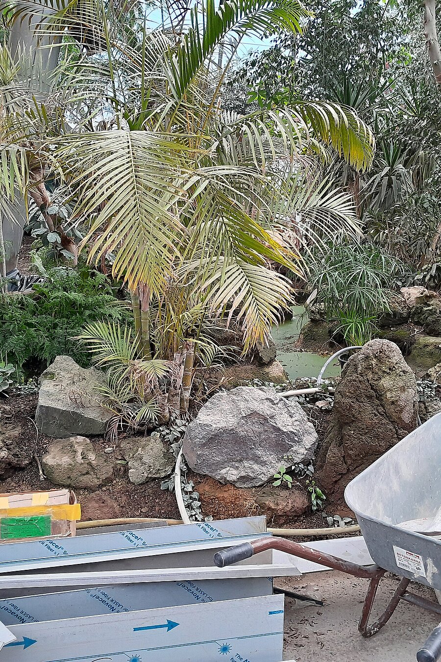 Baustelle Dschungelwelt 