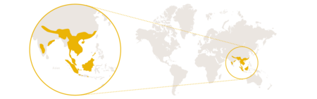 die Verbreitungskarte vom asiatischen Zwergotter