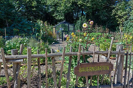 Ein kleiner blühender Garten mit bunten Blumen und Gemüse. Die Sonne schein drauf und vorne rechts ist ein Holzschild mit hellgrüner Aufschrift: Bauerngarten.