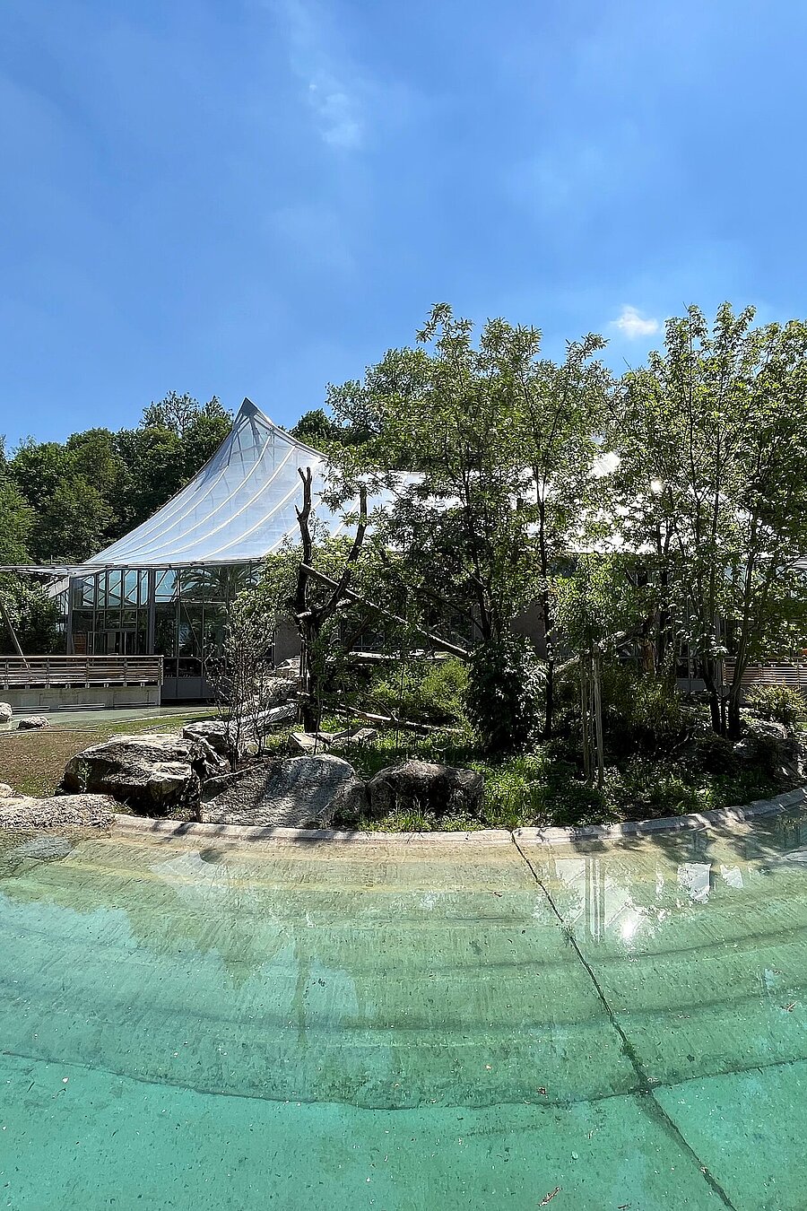 Pool mit türkisem Wasser vor der Dschungelwelt im Tierpark Hellabrunn.