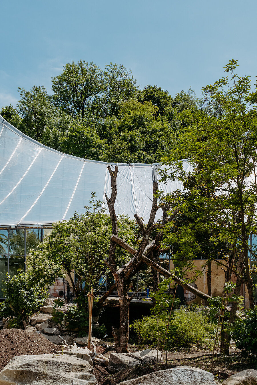 Umbau der Dschungelwelt-Außenanlage