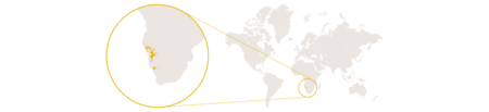 Distribution