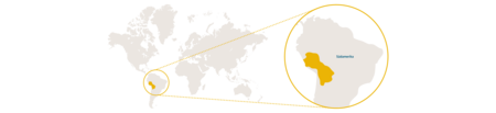 Verbreitungskarte Alpaka