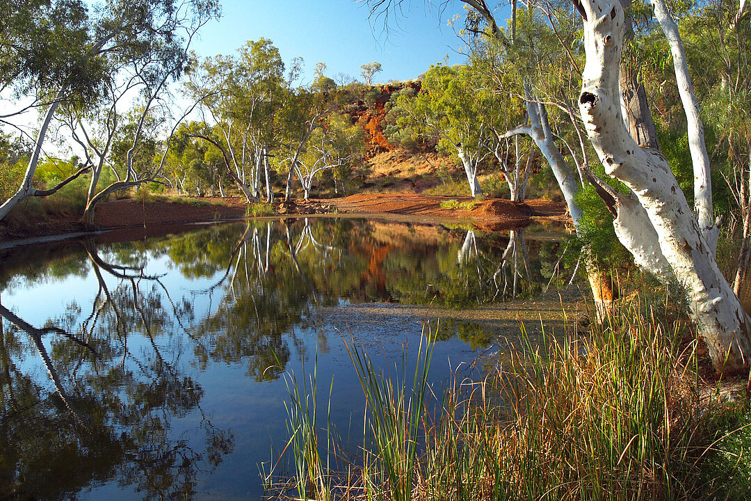 Ein kleiner See in Australien. 