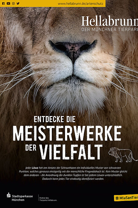 Neues Motiv Imagekampagne mit Löwe